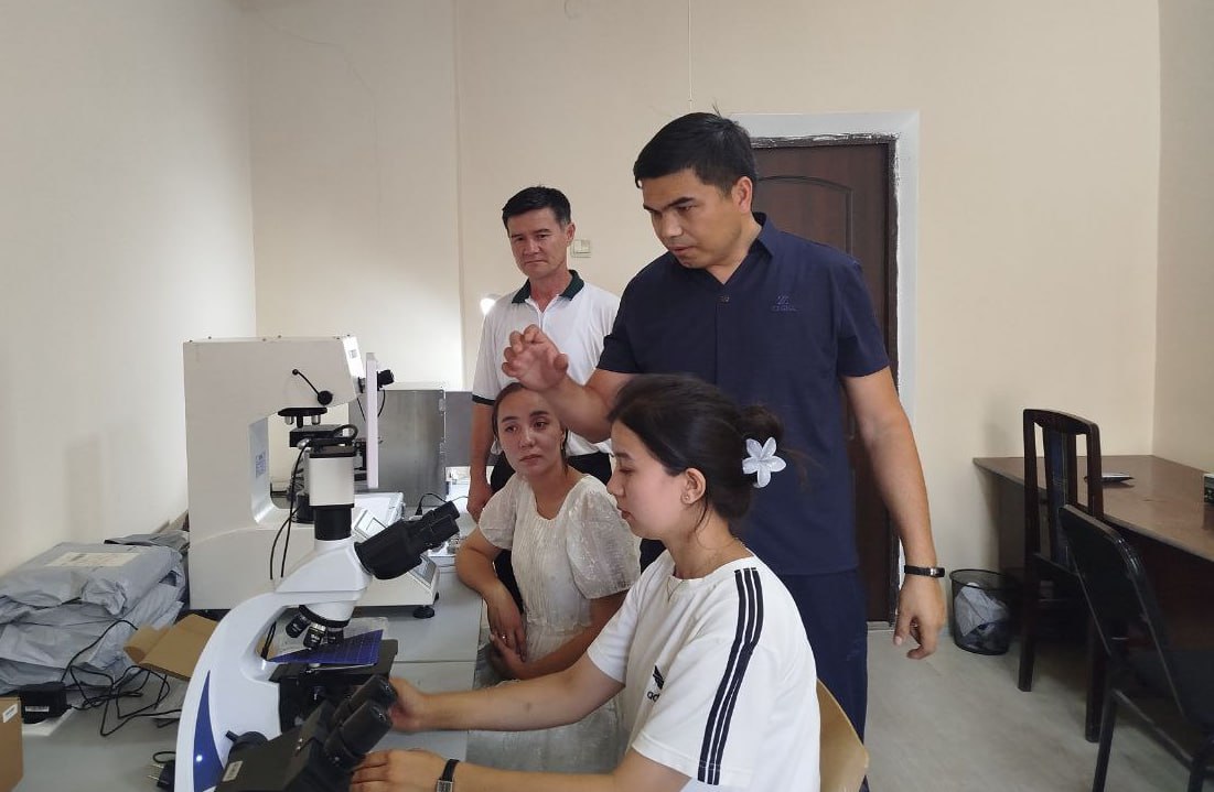 Students in the "Young Inventors" club are engaged in analyzing the properties of solid materials